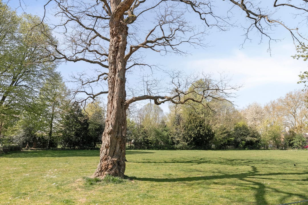 Foto 31 van Generaal Bentinckstraat 40