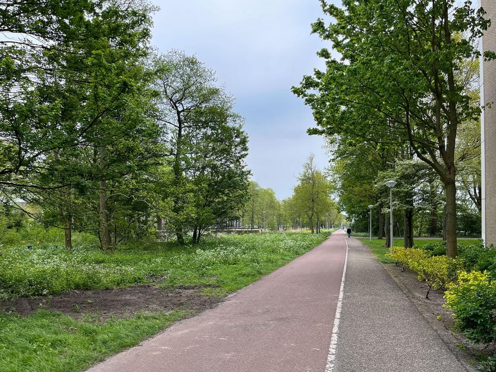 Photo 41 of Langswater 62