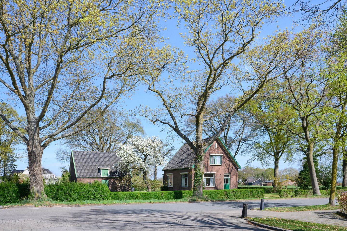 Foto 1 van Ringlaan 21