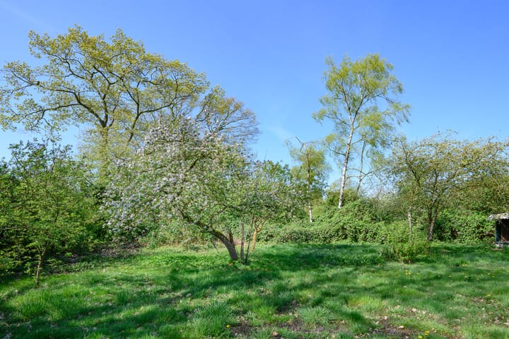 Foto 27 van Ringlaan 21