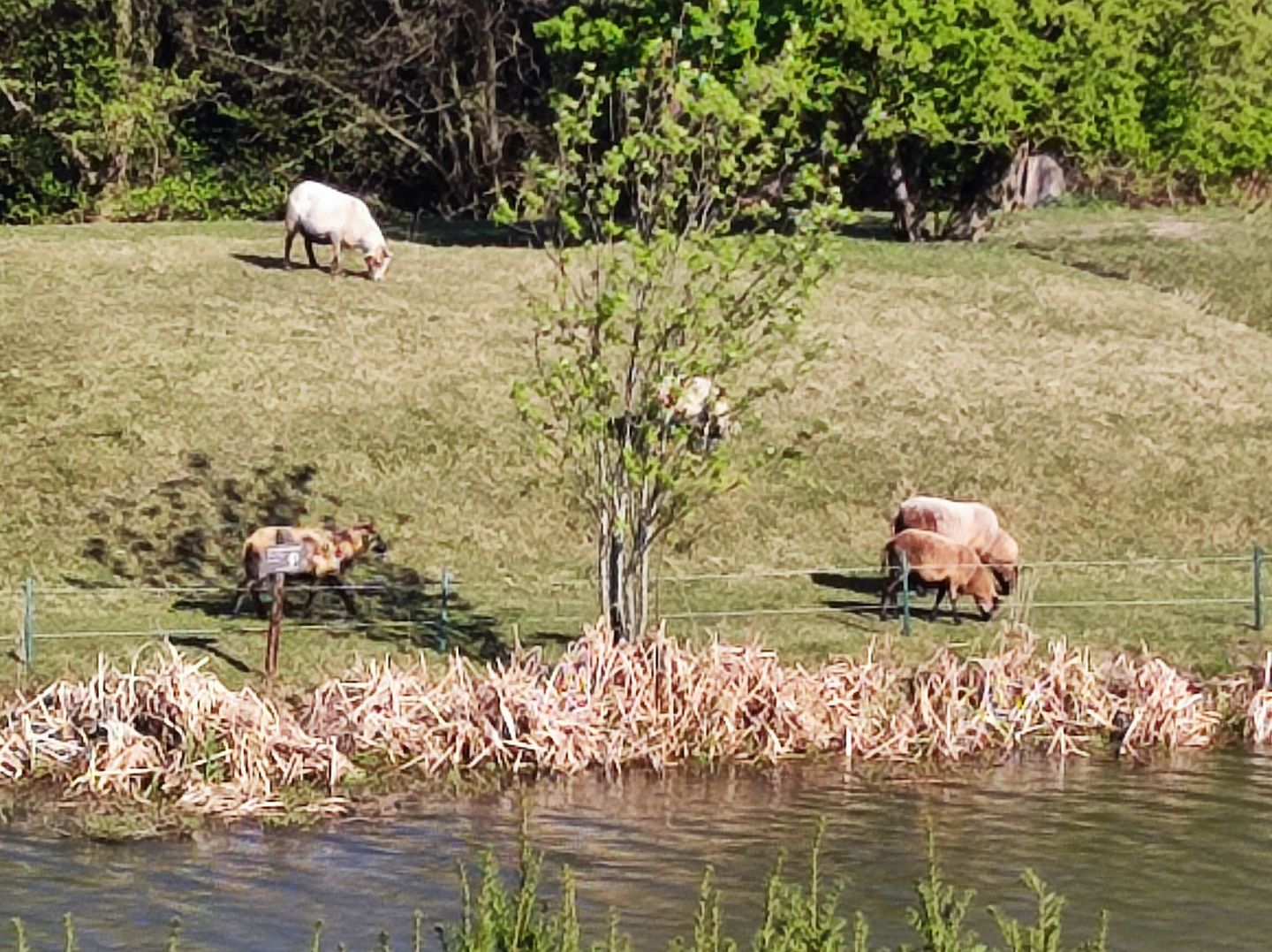 Foto 10 van Frederik Hendrikstraat 94