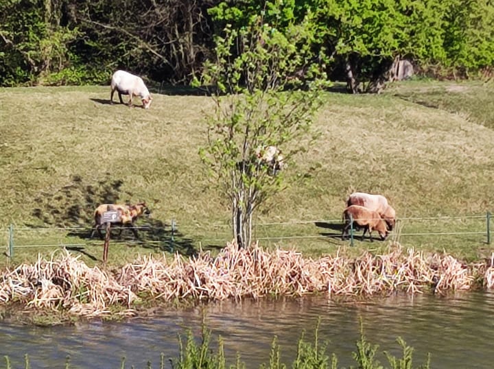 Foto 10 van Frederik Hendrikstraat 94