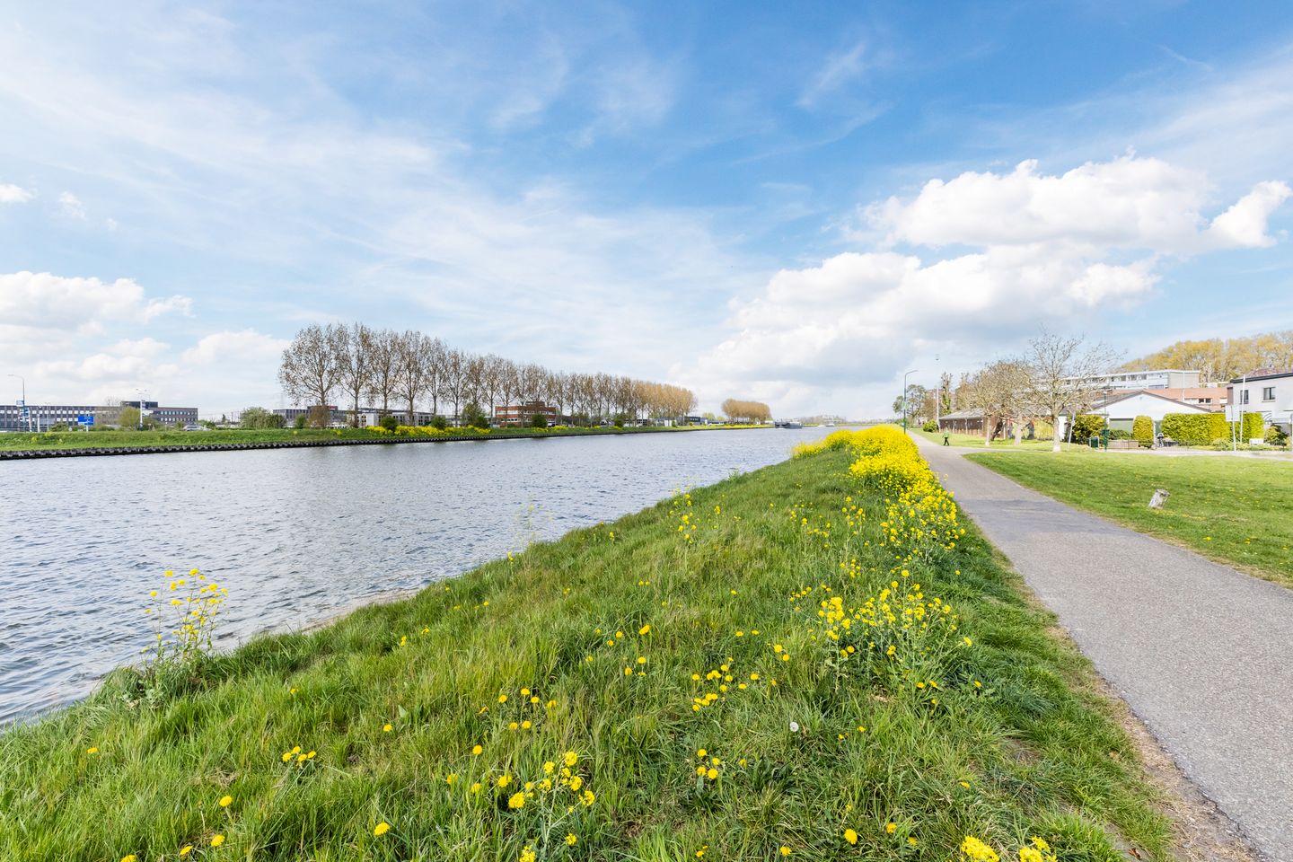 Photo 25 of Wilhelminastraat 39-S