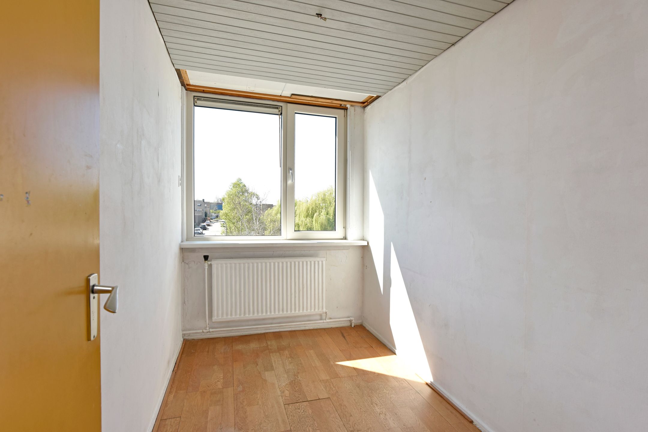 Foto 21 van Roelofsstraat 20