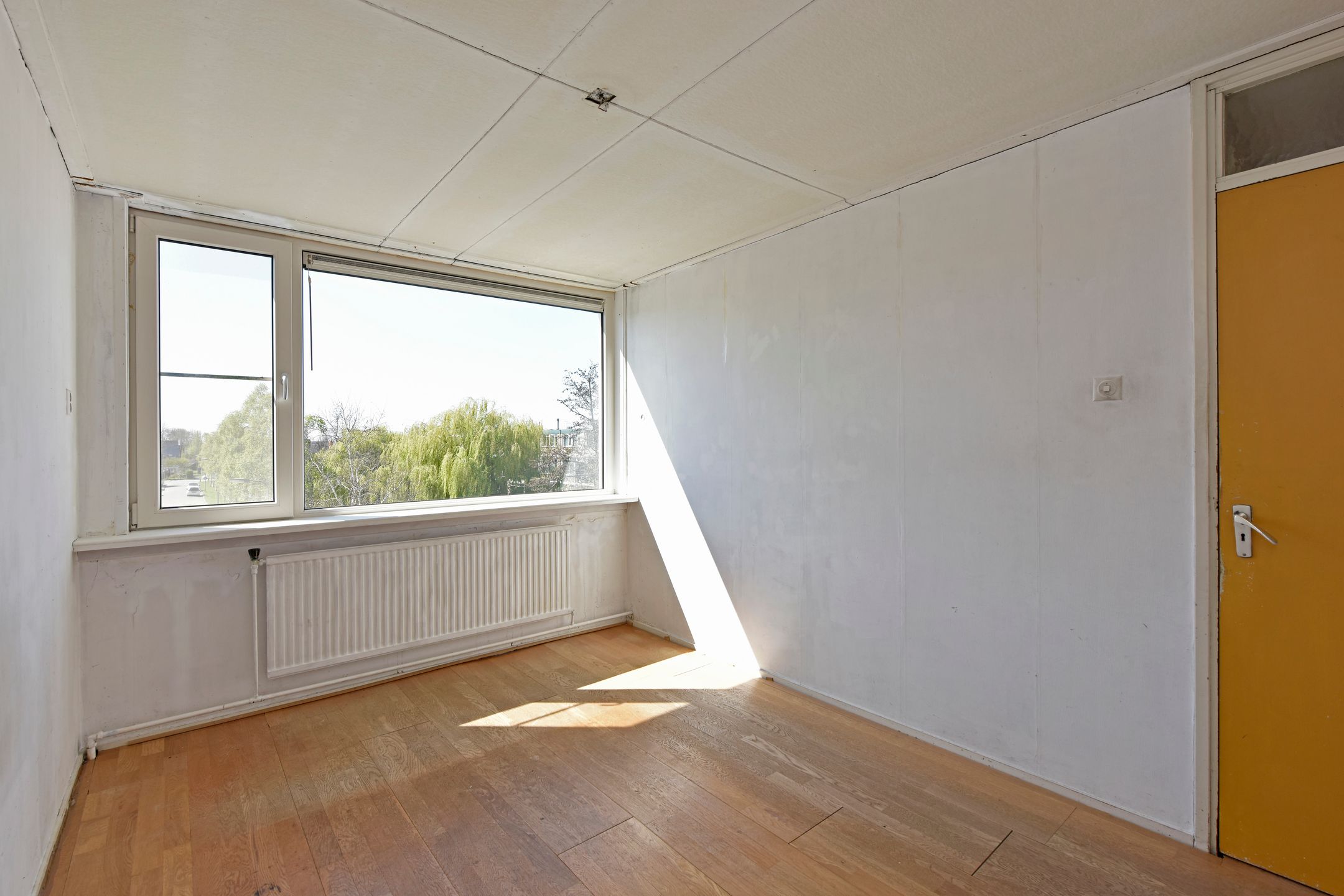 Foto 24 van Roelofsstraat 20