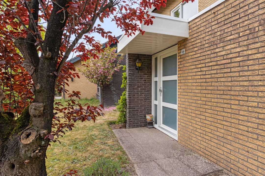 Foto 41 van Jurriaandonk 16