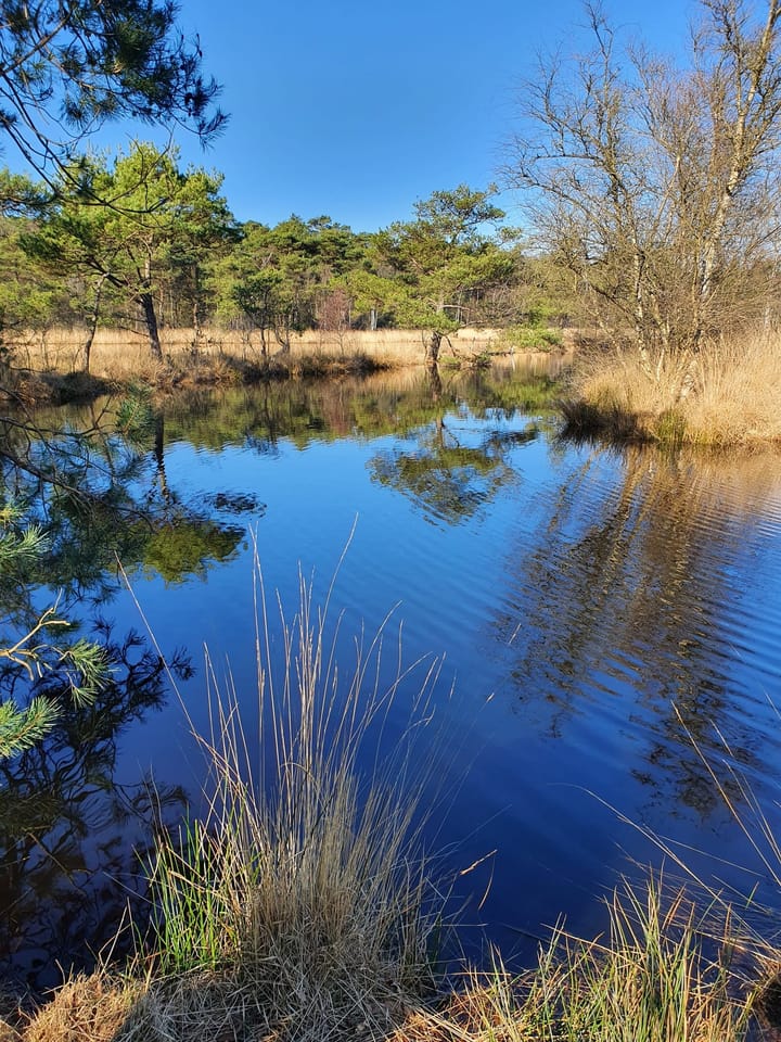 Photo 4 of Weg achter de Es 12-16