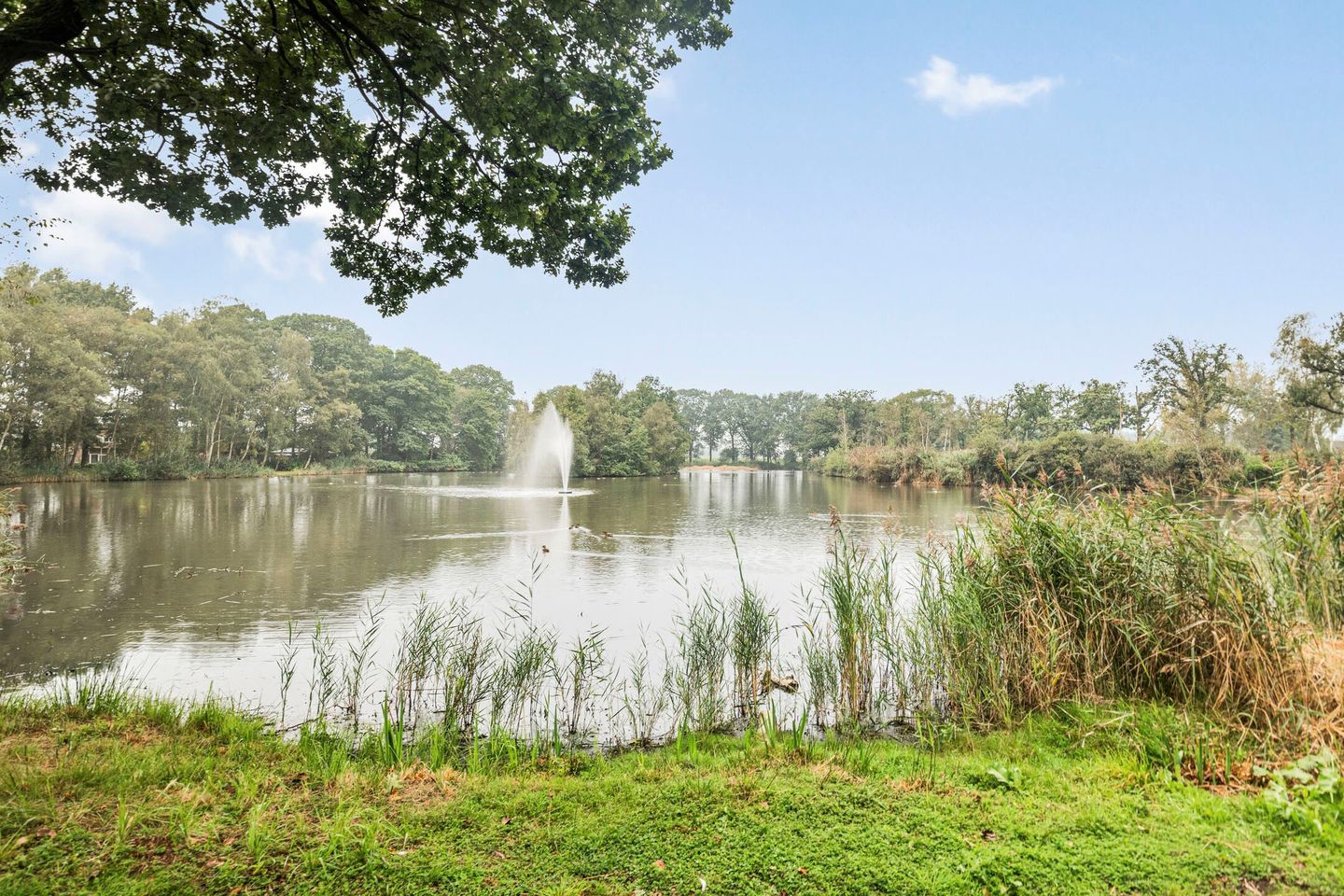 Foto 35 van Kleine Heistraat 16-K277