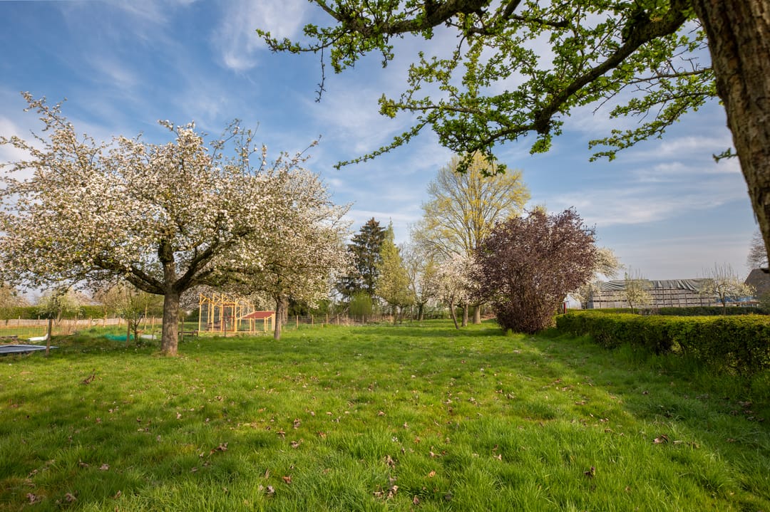 Photo 31 of Kampweg 25