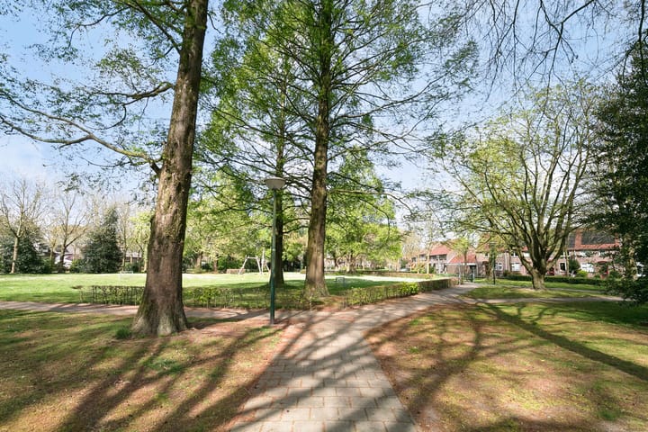 Foto 3 van Boekweit 49