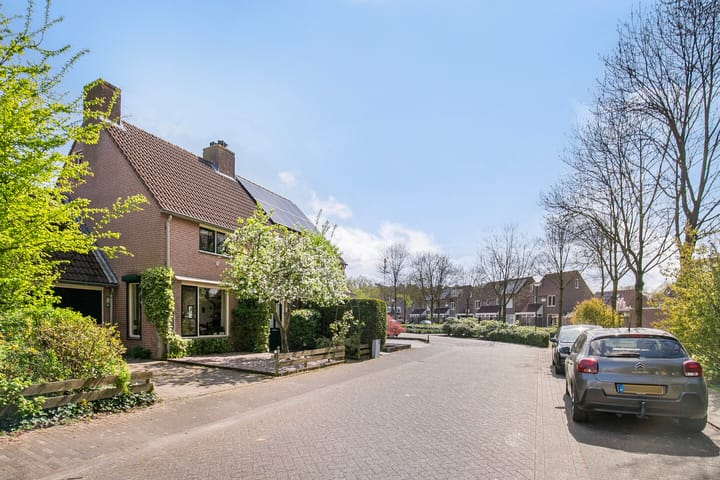 Foto 29 van Boekweit 49