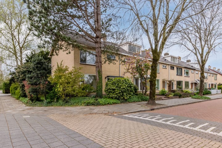 Foto 38 van Jac. van Maerlantlaan 96