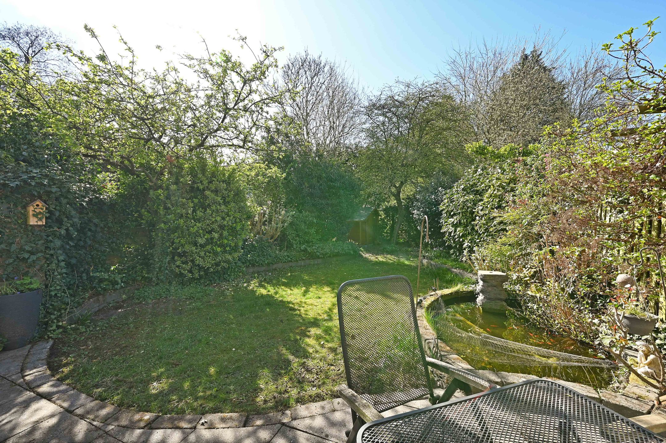 Photo 3 of Wilgendreef 335