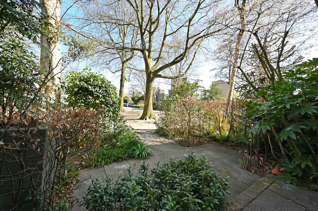 Photo 8 of Wilgendreef 335