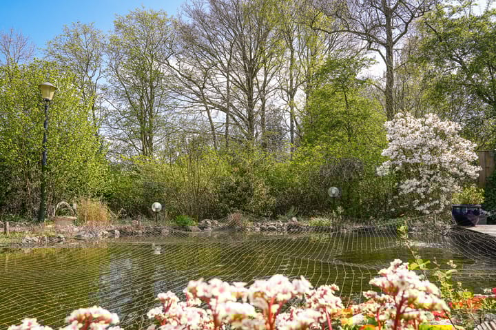 Photo 4 of Dwarsweg 19