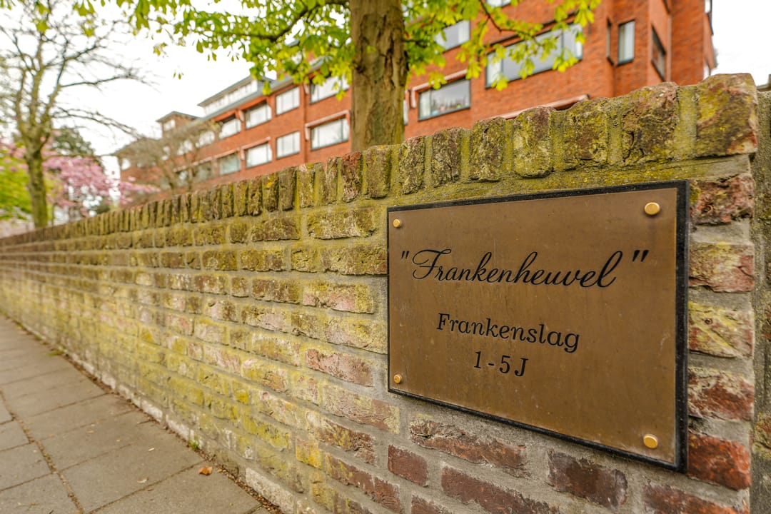 Foto 2 van Frankenslag 5-F