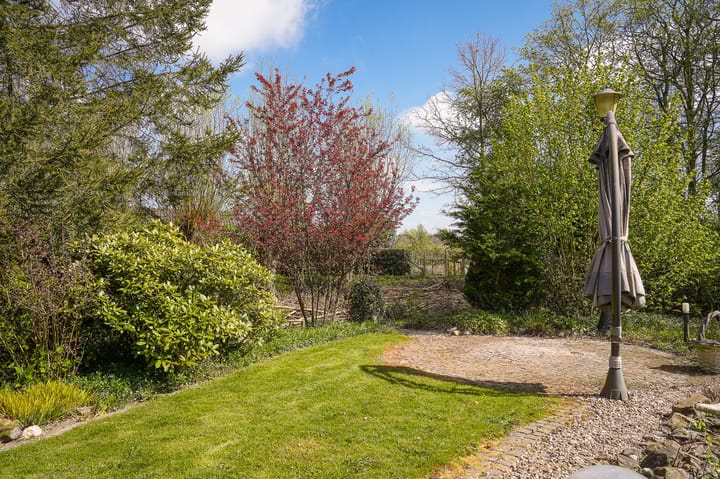 Photo 25 of Dwarsweg 19