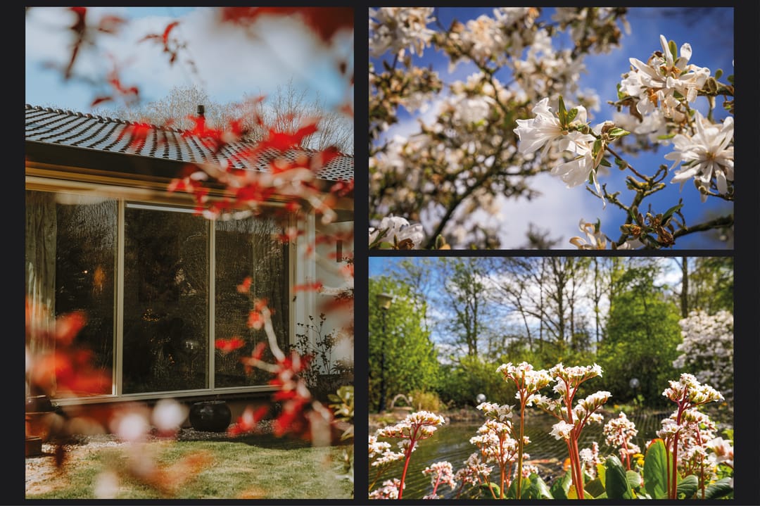 Foto 28 van Dwarsweg 19