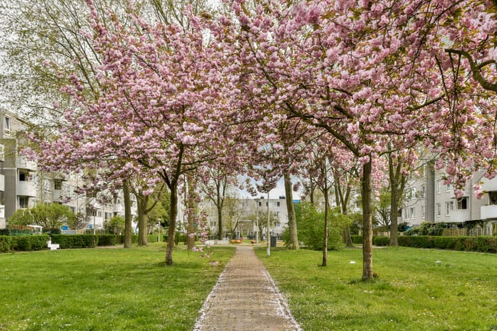 Foto 21 van Barbusselaan 95