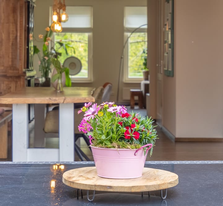 Foto 40 van Koolwitje 14