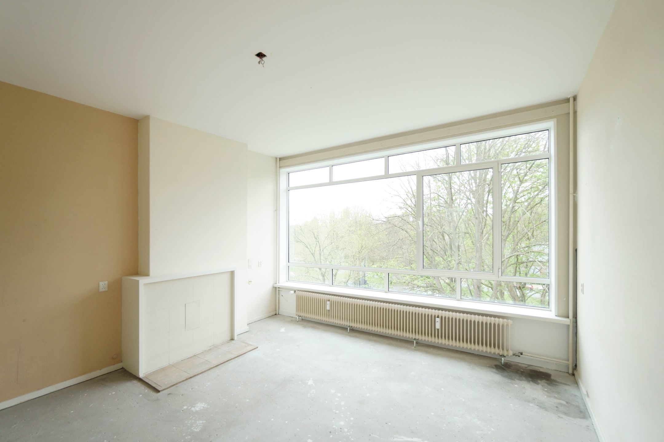 Foto 15 van Smaragdhorst 68