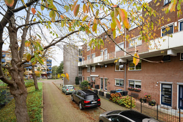 Nicolaas Arie van der Burgsingel thumbnail