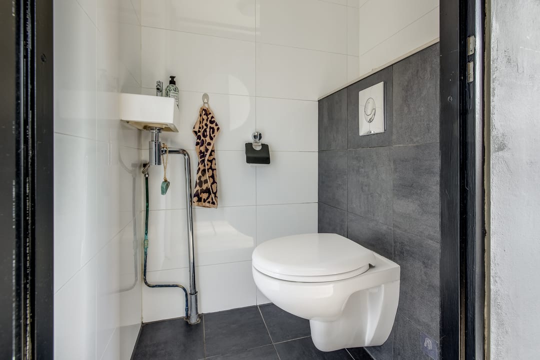 Foto 17 van Koolmees 18