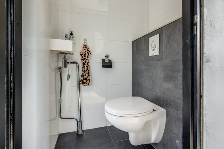 Foto 17 van Koolmees 18