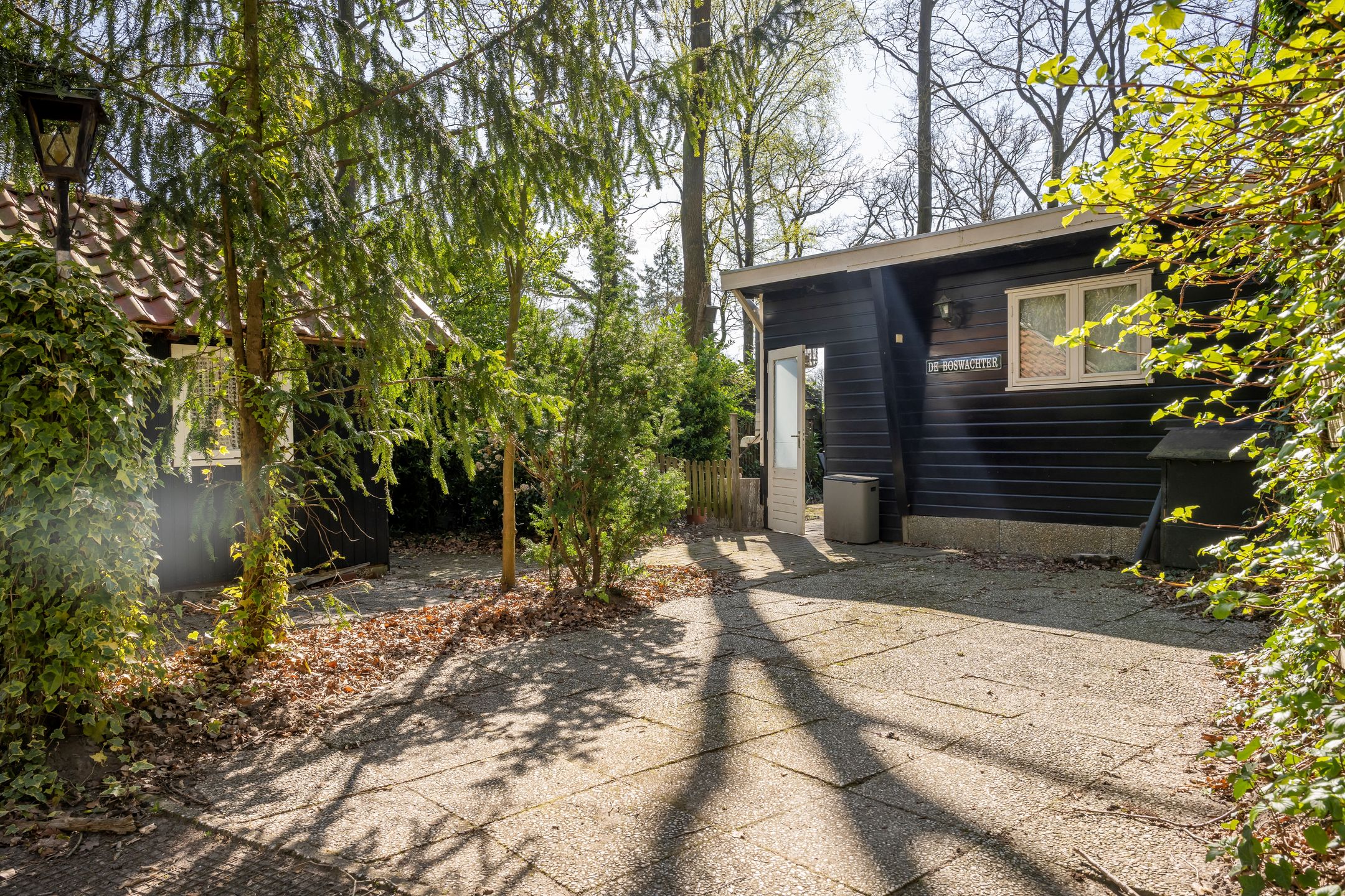 Photo 6 of Wittebergweg 18-C81