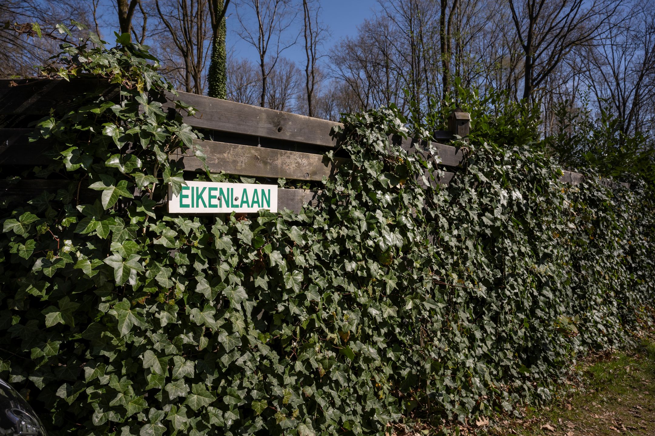 Photo 9 of Wittebergweg 18-C81