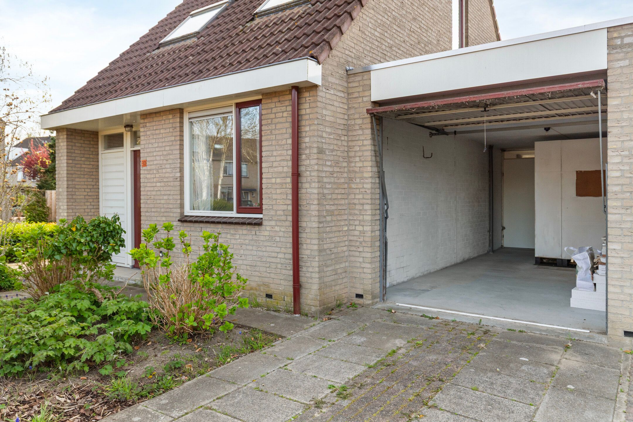 Foto 3 van Winterkoning 30