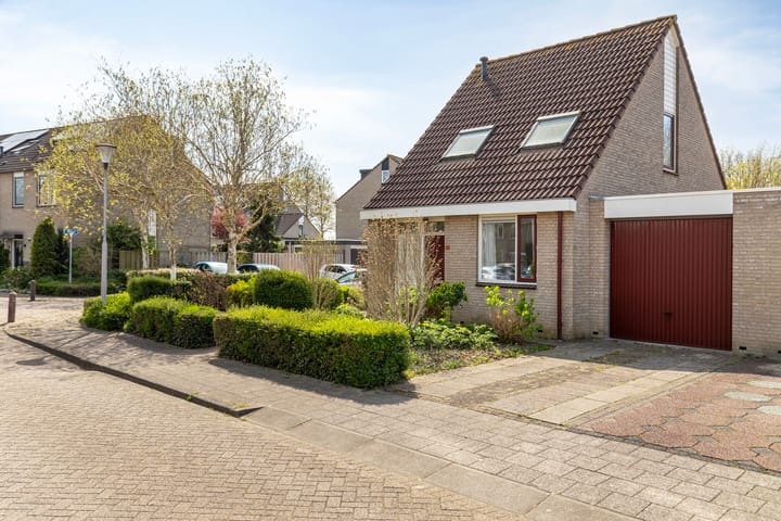 Foto 5 van Winterkoning 30