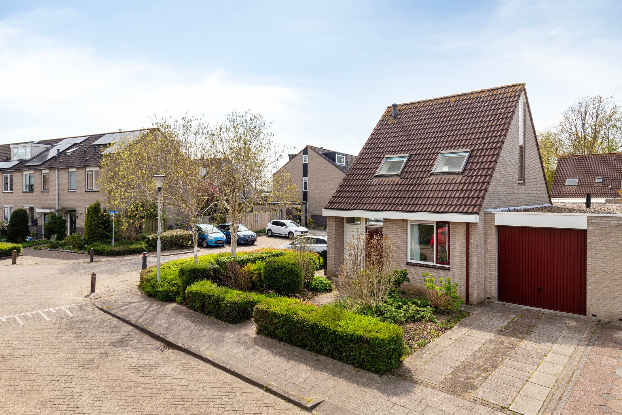 Foto 6 van Winterkoning 30