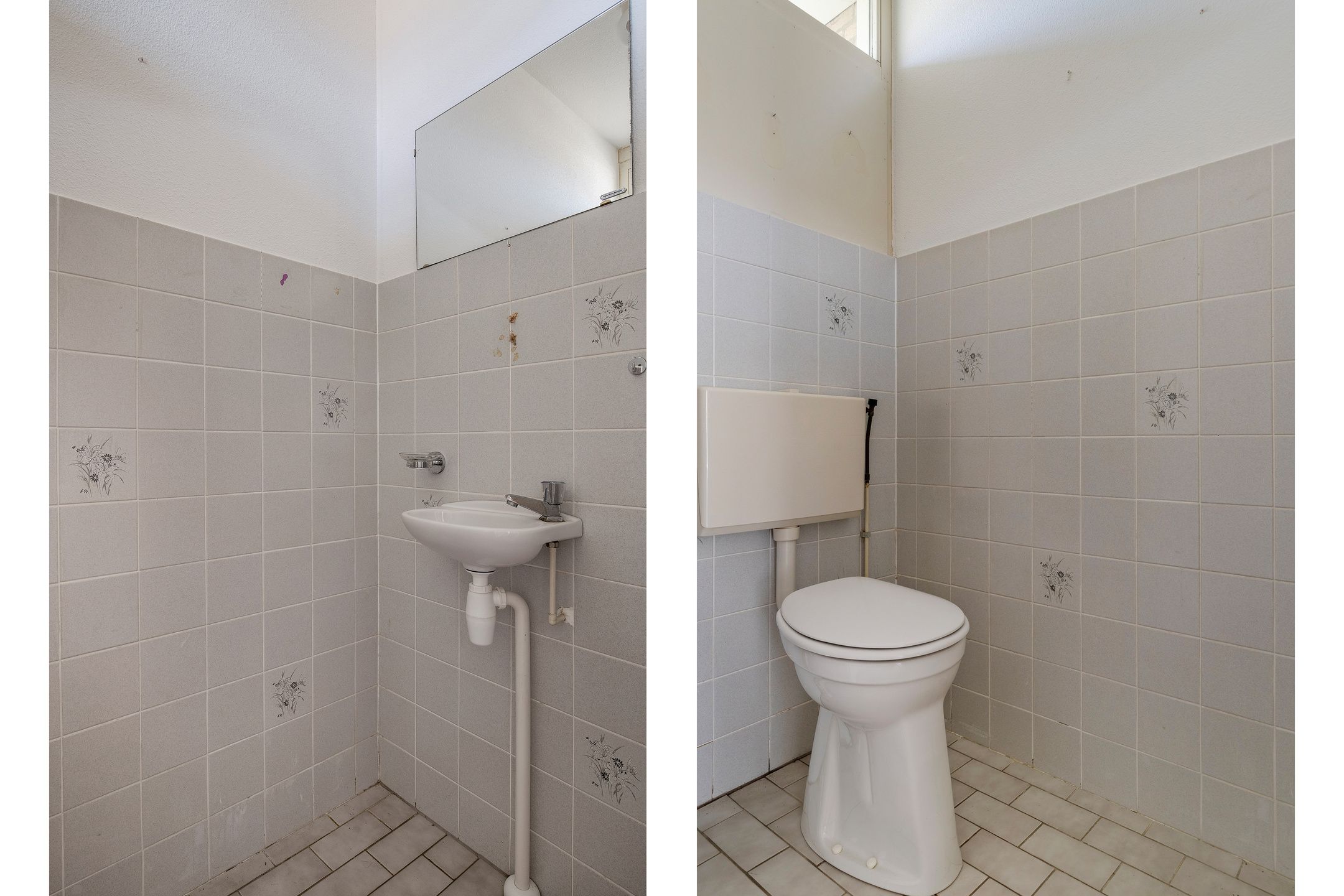 Foto 9 van Winterkoning 30