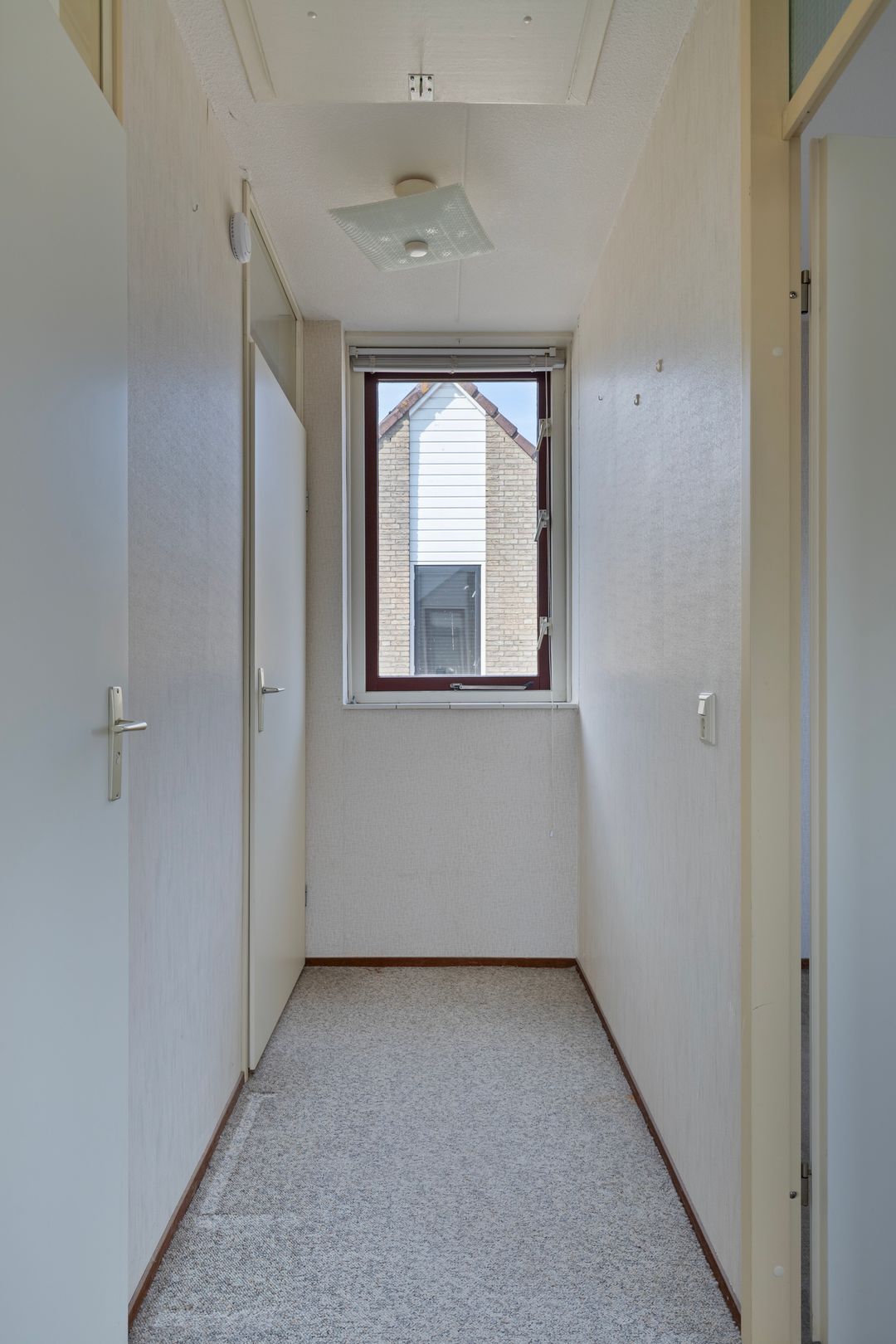 Foto 23 van Winterkoning 30