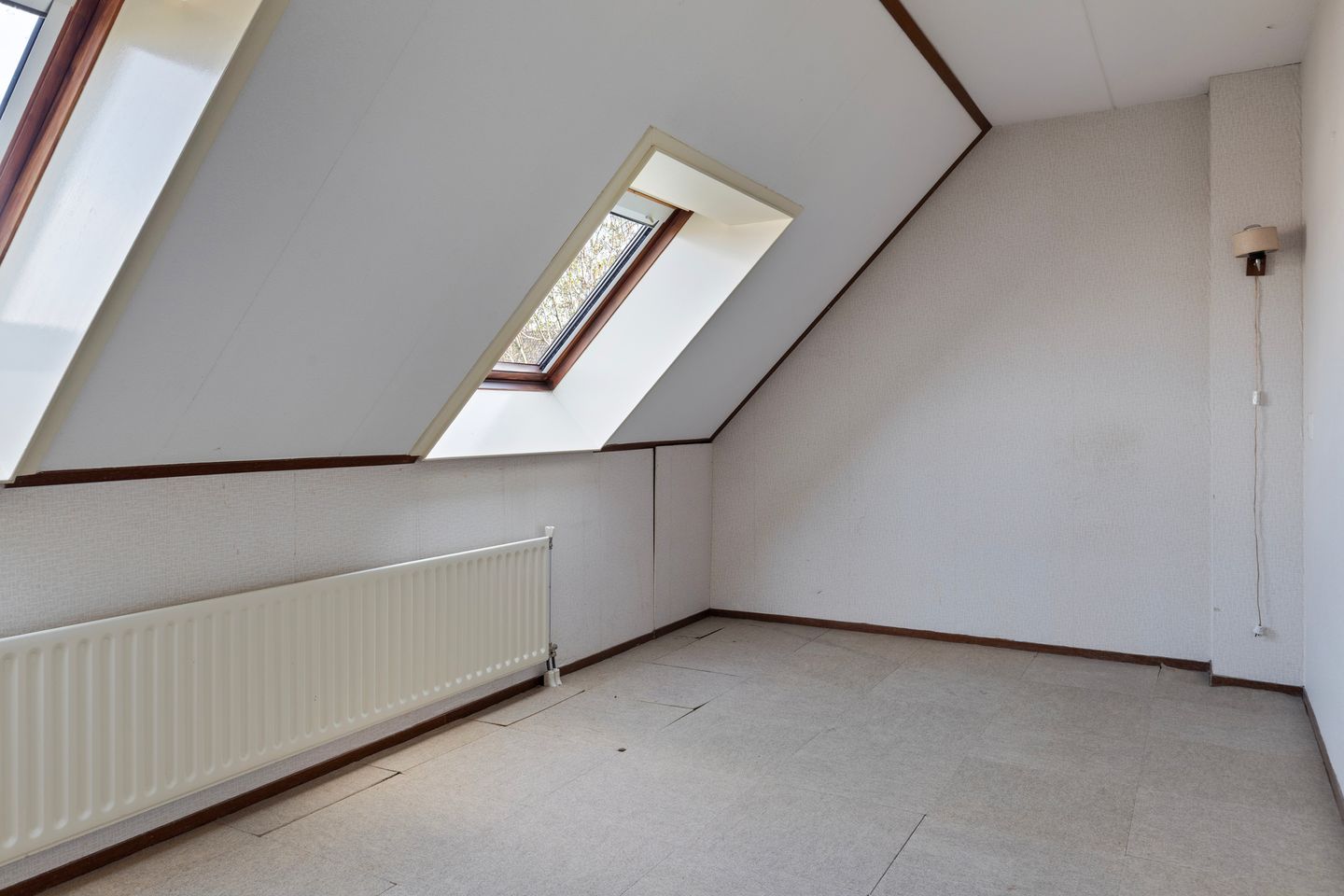 Foto 25 van Winterkoning 30