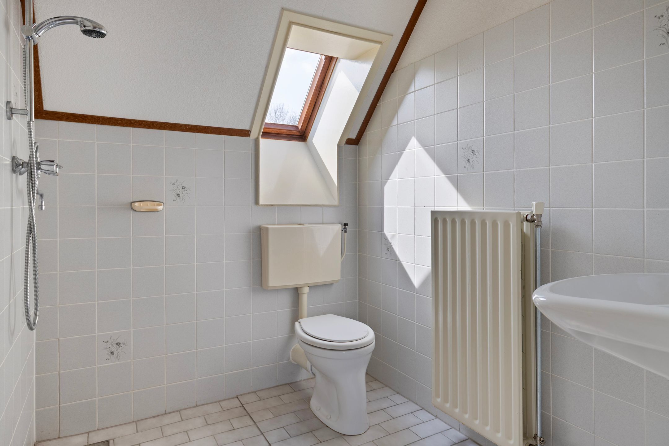 Foto 27 van Winterkoning 30