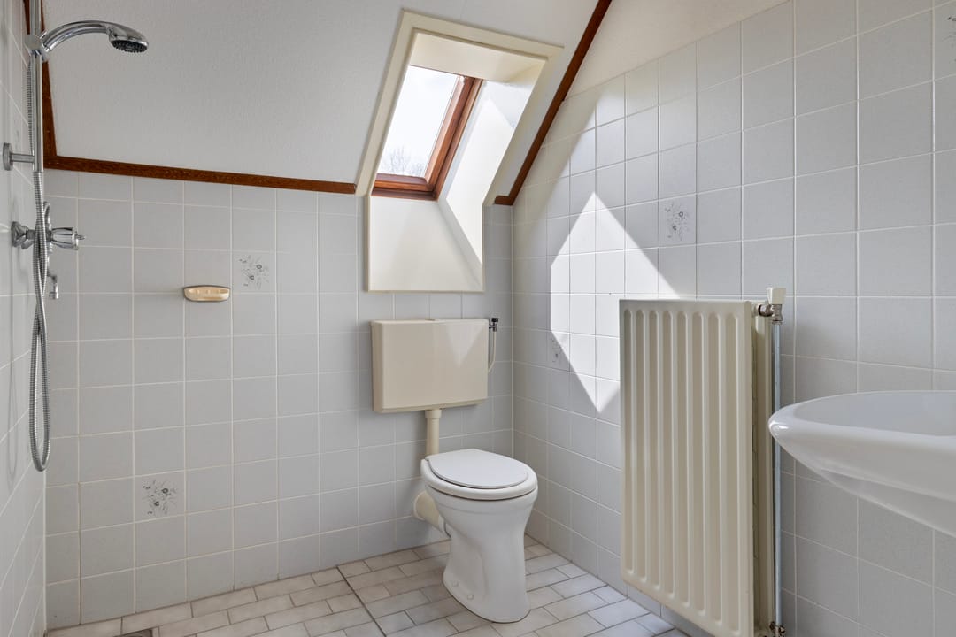 Foto 28 van Winterkoning 30