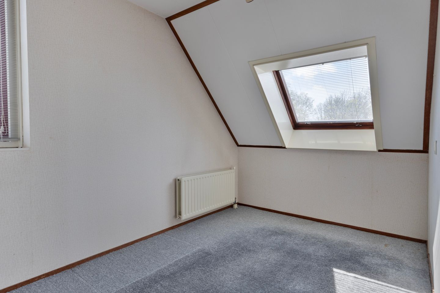 Foto 29 van Winterkoning 30