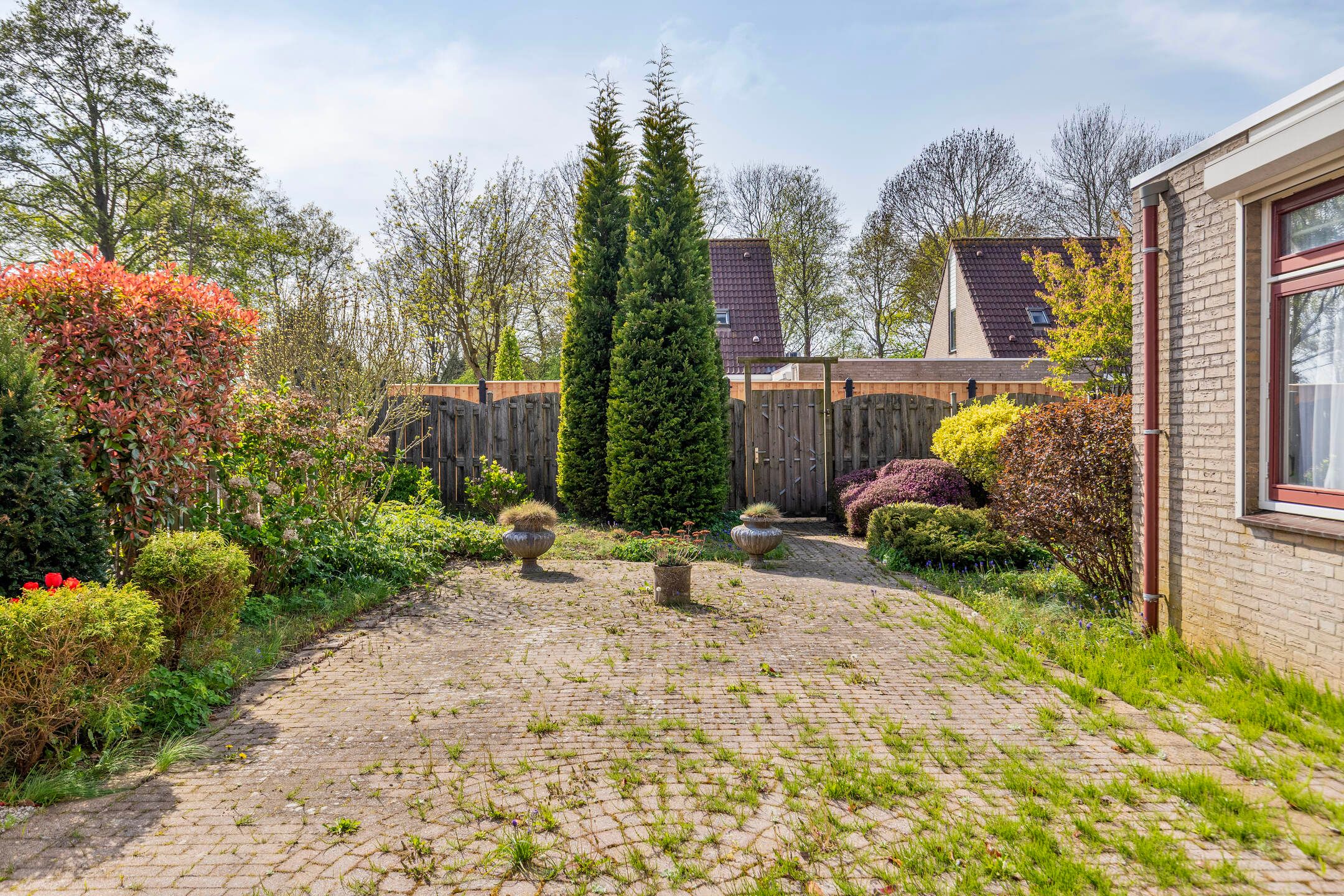 Foto 30 van Winterkoning 30