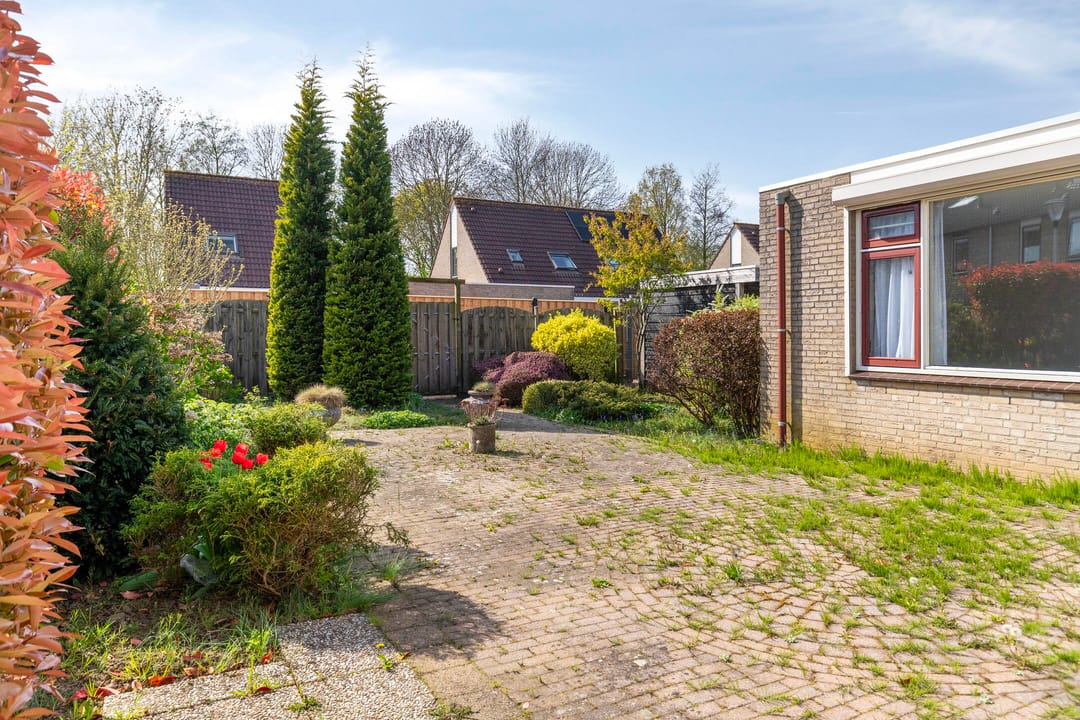 Foto 31 van Winterkoning 30