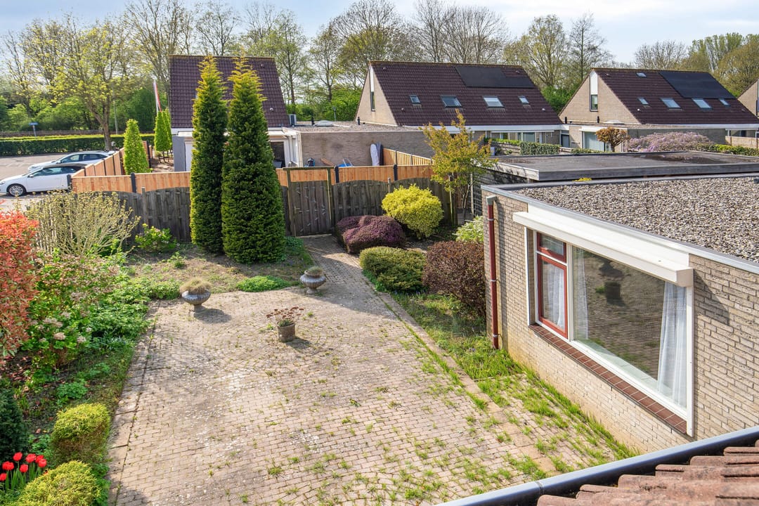 Foto 32 van Winterkoning 30