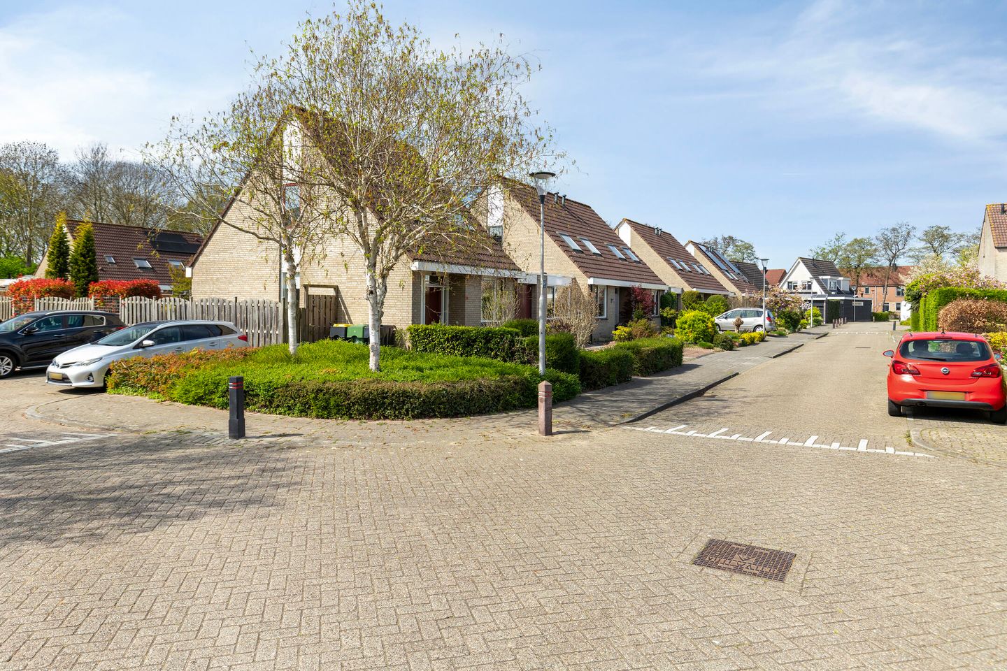 Foto 35 van Winterkoning 30