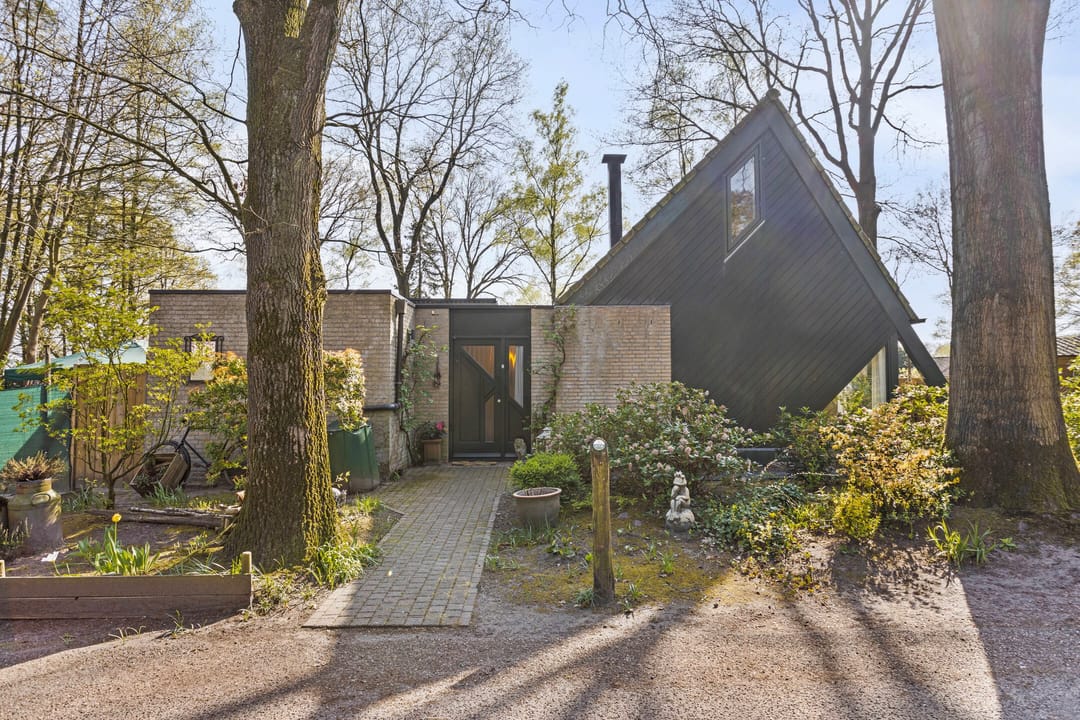 Foto 1 van Kievit 12-B273