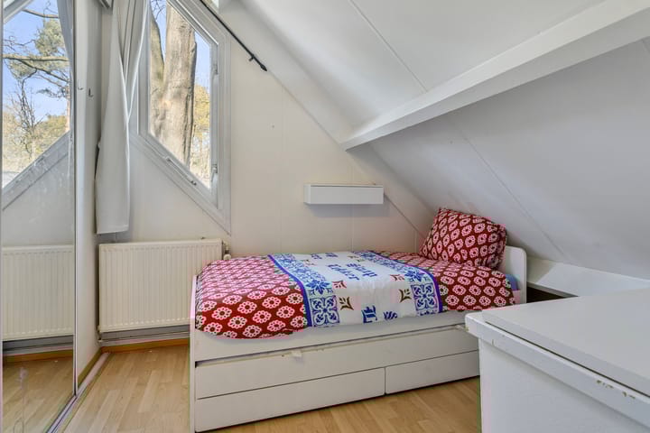 Foto 24 van Kievit 12-B273