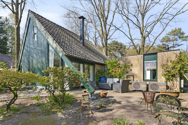 Foto 29 van Kievit 12-B273