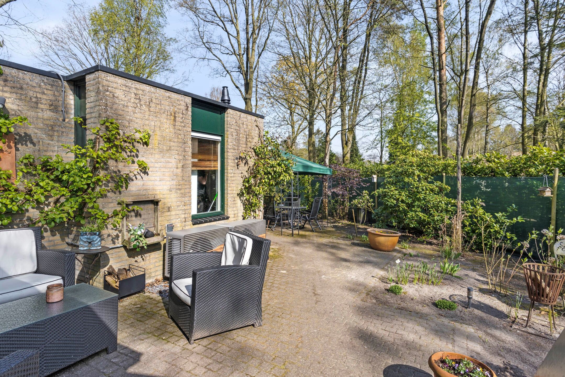 Foto 30 van Kievit 12-B273