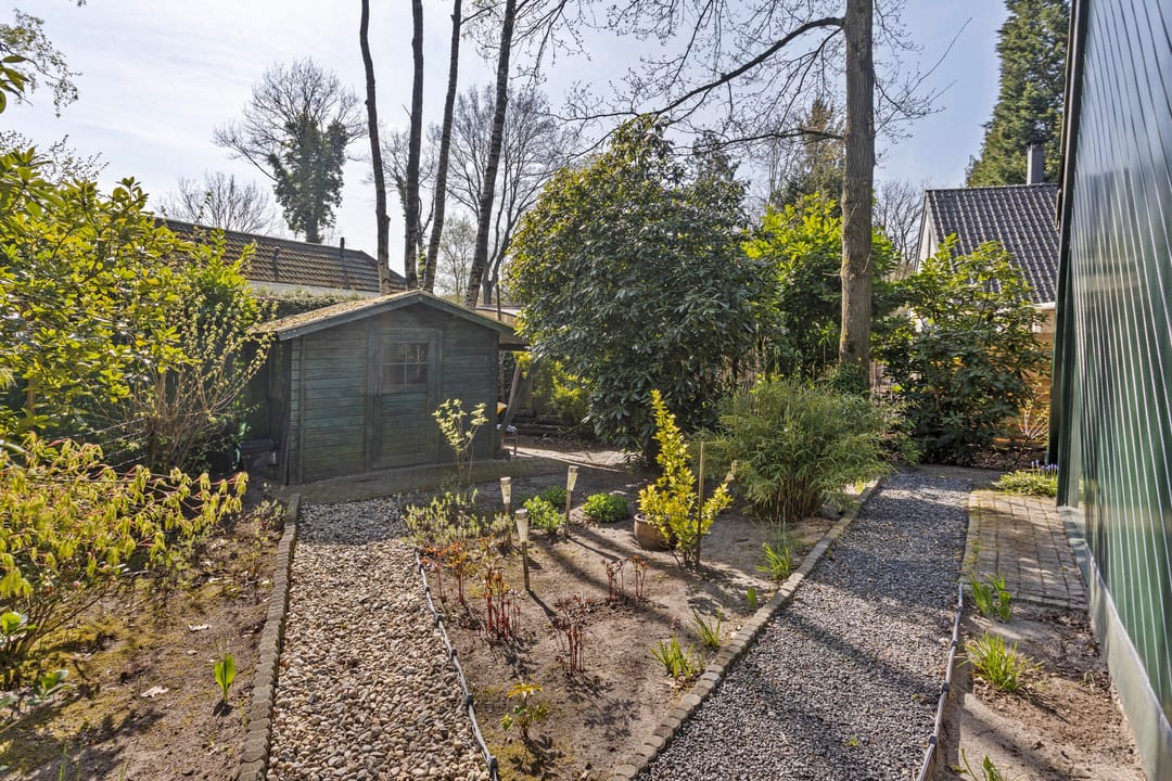 Foto 31 van Kievit 12-B273