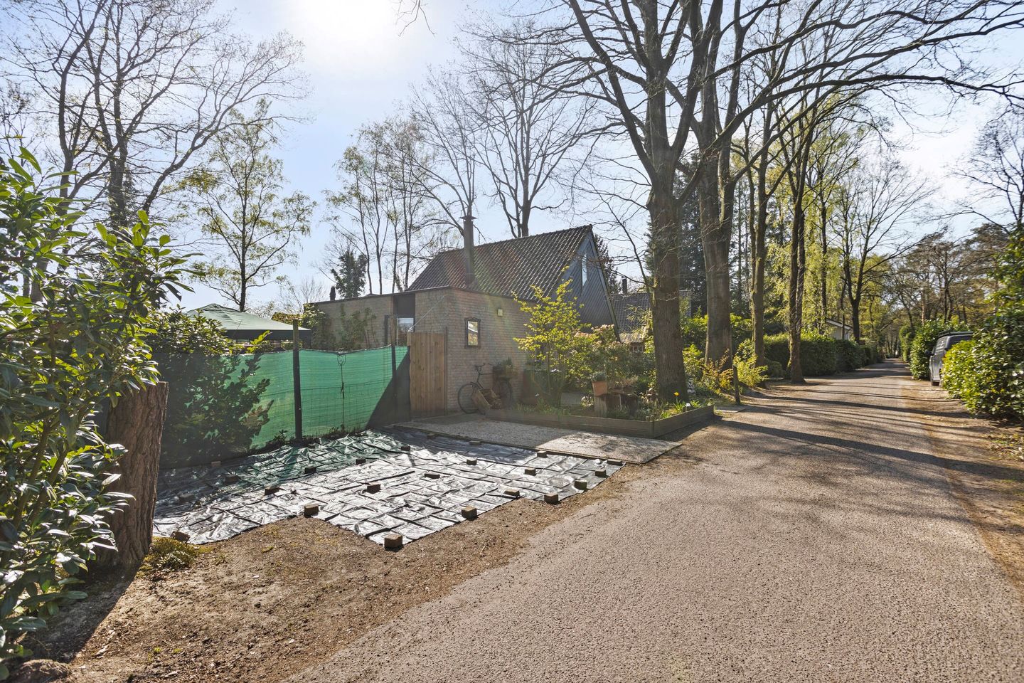 Foto 34 van Kievit 12-B273