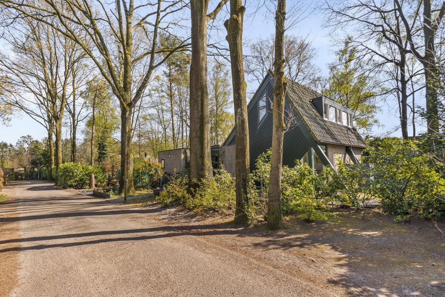 Foto 35 van Kievit 12-B273